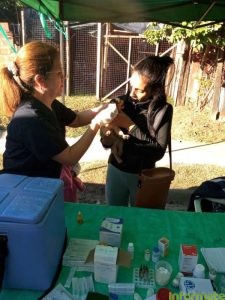 El Gobierno provincial realizará acciones de prevención y control animal